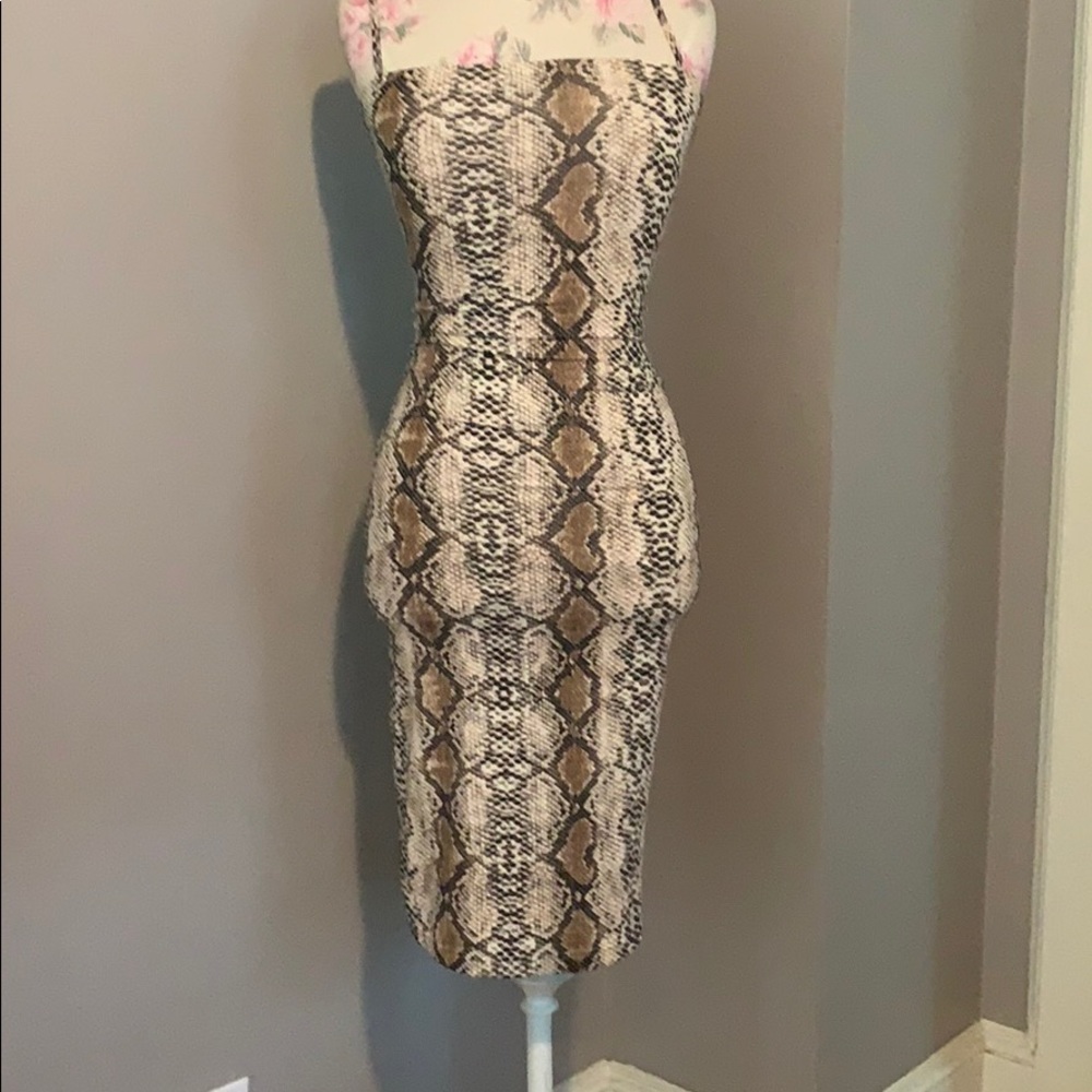 Knee length bodycon snake print dress